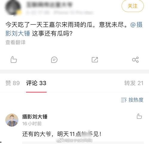 刘大锤爆料小结视频播放,视频播放背后的精彩瞬间